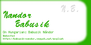 nandor babusik business card
